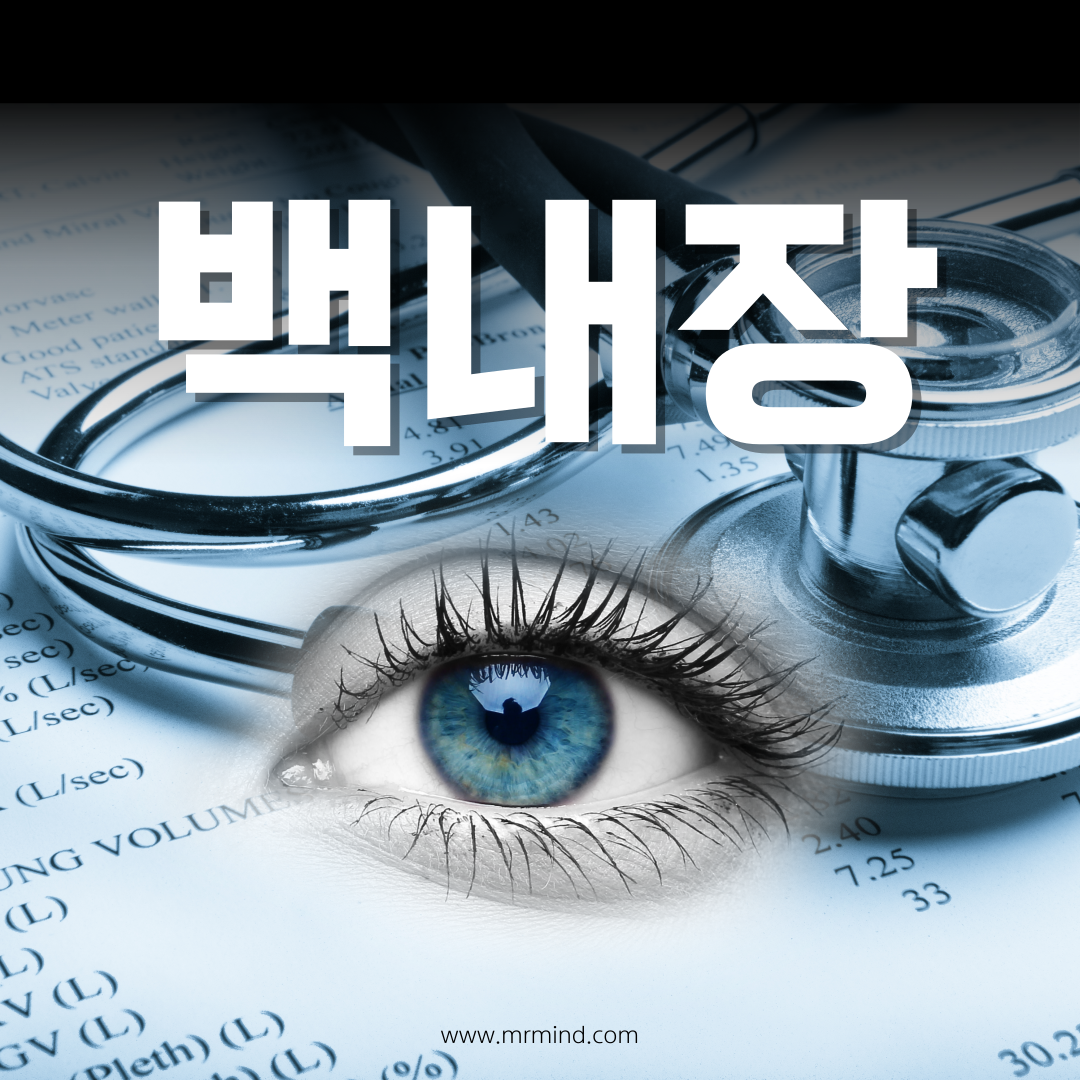 백내장 증상과 치료법 6가지 완벽 가이드 자가진단 10가지 방법과 예방 팁 요약이미지