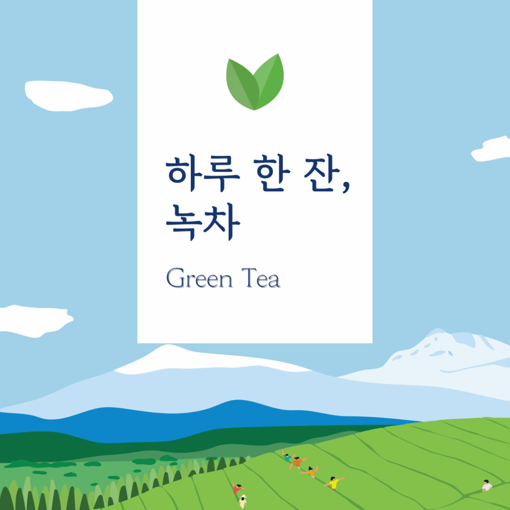 하루 한 잔 녹차의 놀라운 변화 5가지│다이어트 효과·카페인 함량까지 총정리 요약이미지