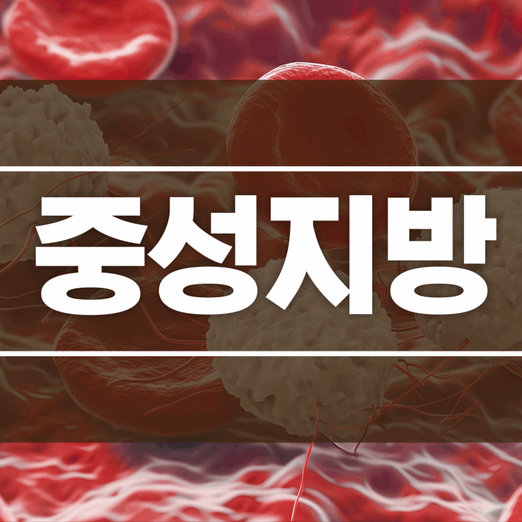 중성지방 수치 정상 범위와 콜레스테롤 차이점, 그리고 낮추는 7가지 생활습관 요약이미지