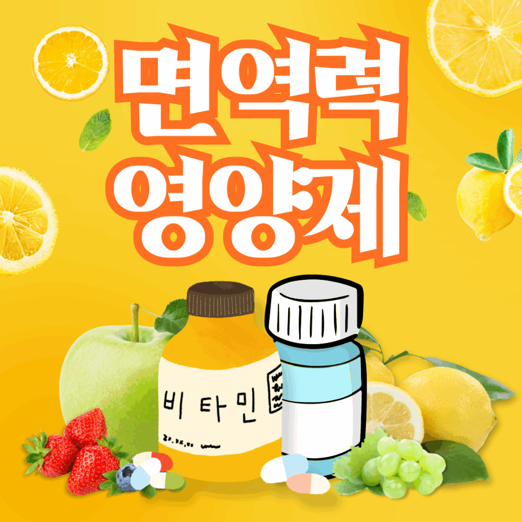 면역력 떨어졌을 때 꼭 챙겨야 할 영양제 8가지 추천과 고르는 꿀팁 전수 요약이미지
