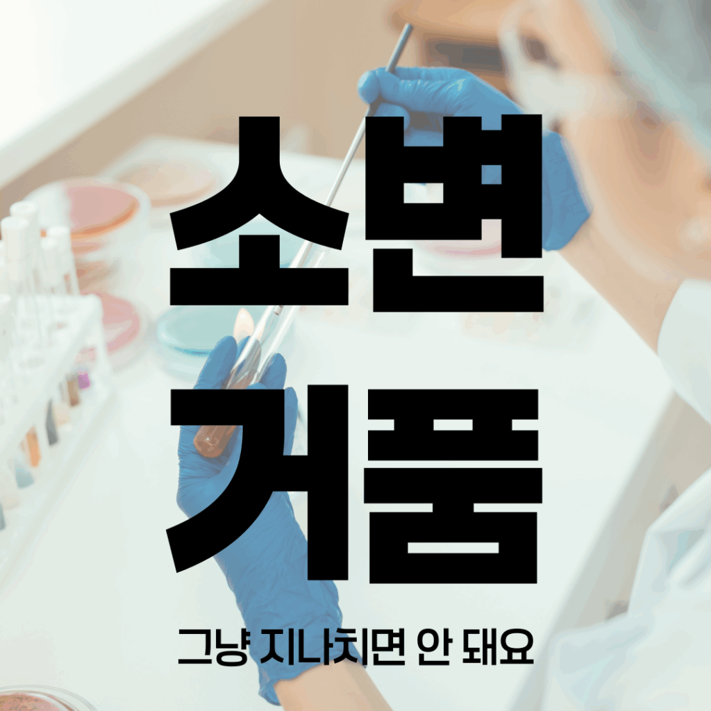 소변 거품 7가지 원인과 예방 방법 │ 건강 신호 체크 가이드 요약이미지