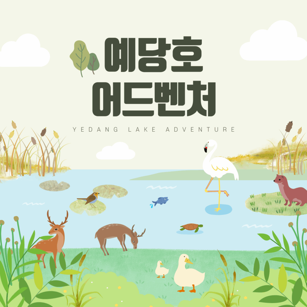 예당호 어드벤처 완전정복│방문 전 꿀팁과 아이와 즐기는 6가지 체험 후기 요약이미지