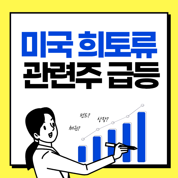 미국 희토류 관련주 급등, 대장주부터 ETF까지 총정리 요약이미지