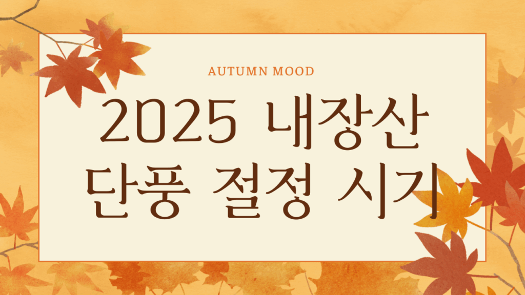 2025 내장산 단풍 절정 시기, 언제 가는게 좋을까? 요약이미지